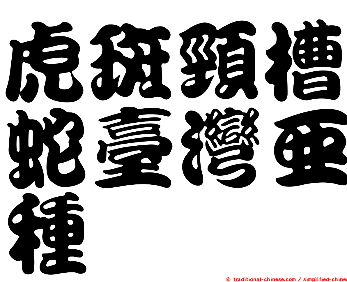 虎斑頸槽蛇臺灣亞種