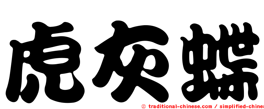 虎灰蝶