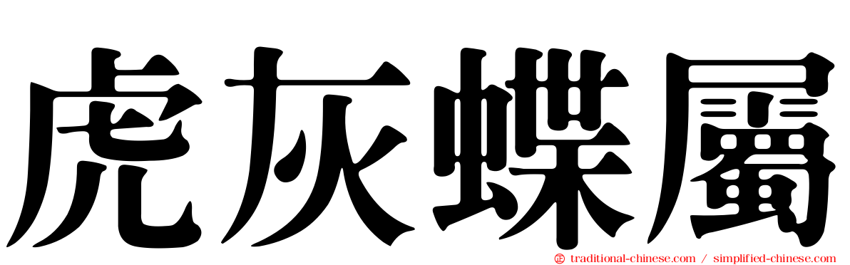虎灰蝶屬