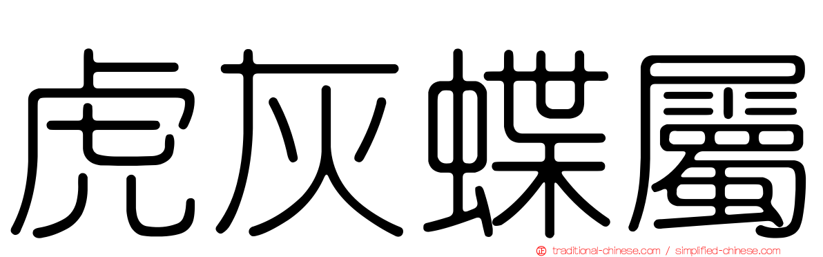 虎灰蝶屬