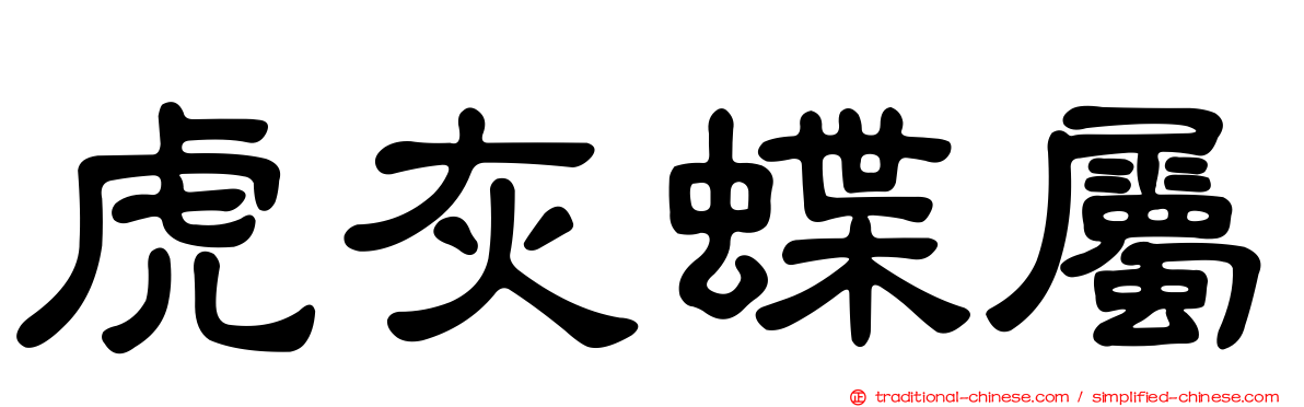 虎灰蝶屬