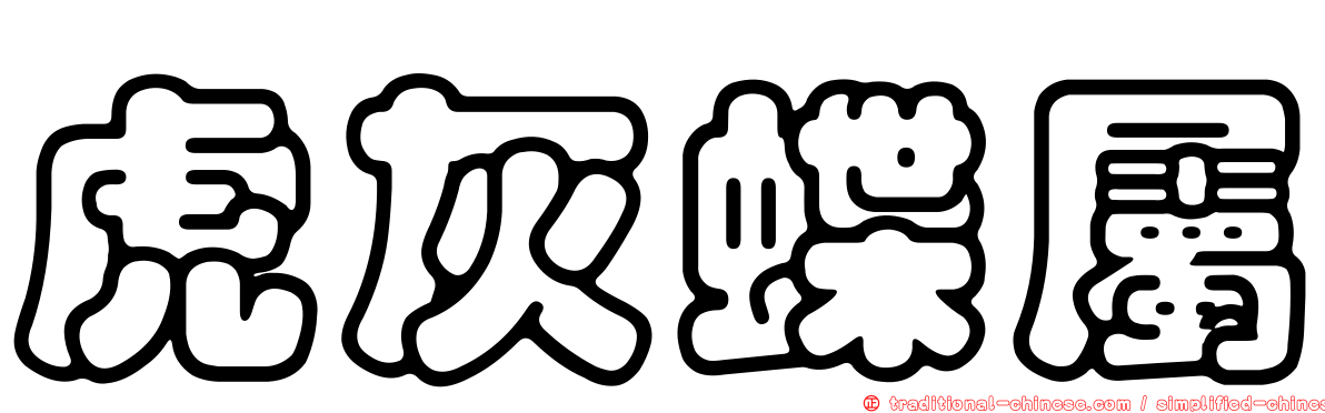 虎灰蝶屬