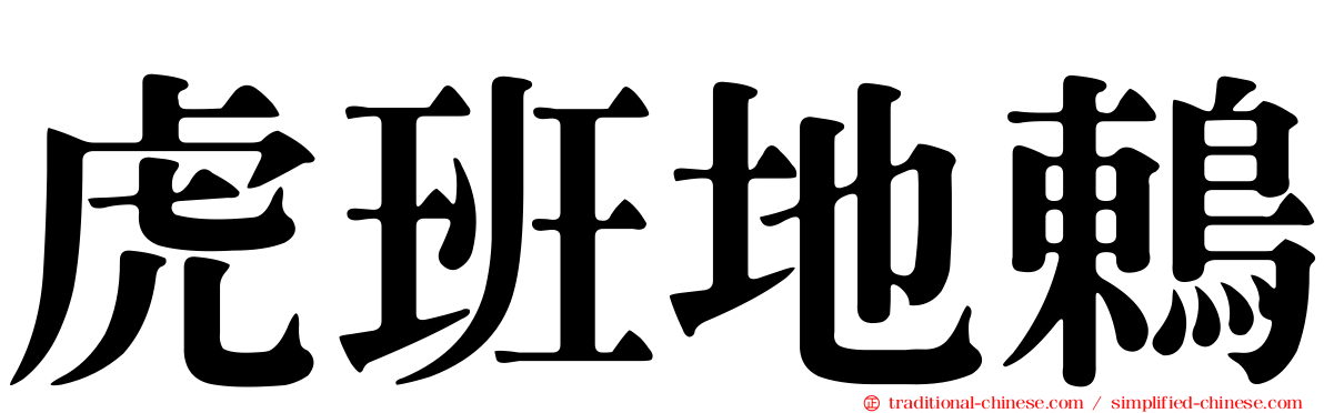 虎班地鶇