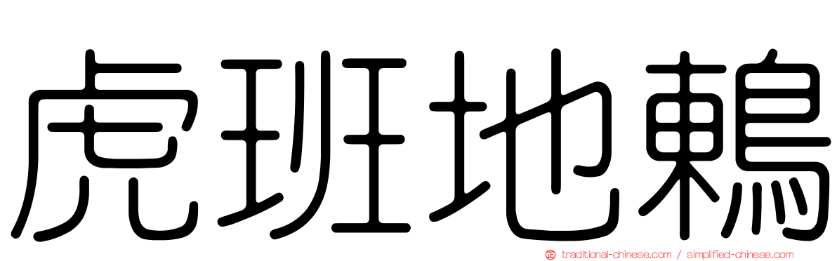 虎班地鶇