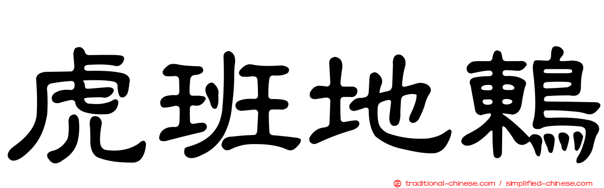 虎班地鶇