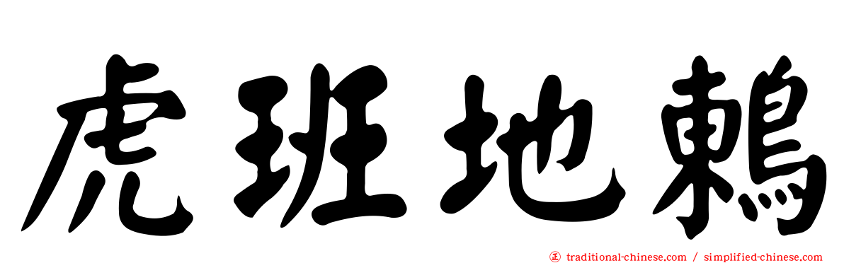 虎班地鶇