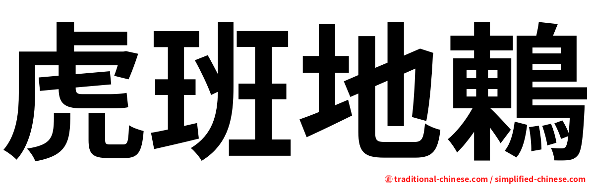 虎班地鶇