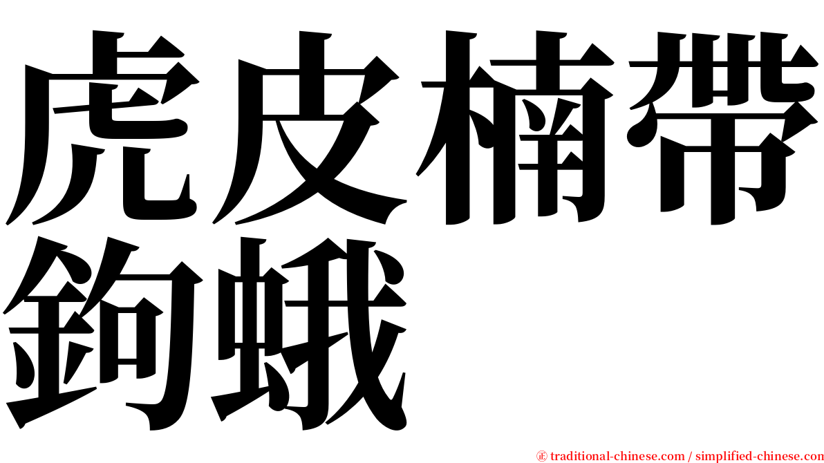 虎皮楠帶鉤蛾 serif font