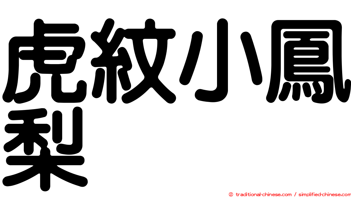 虎紋小鳳梨