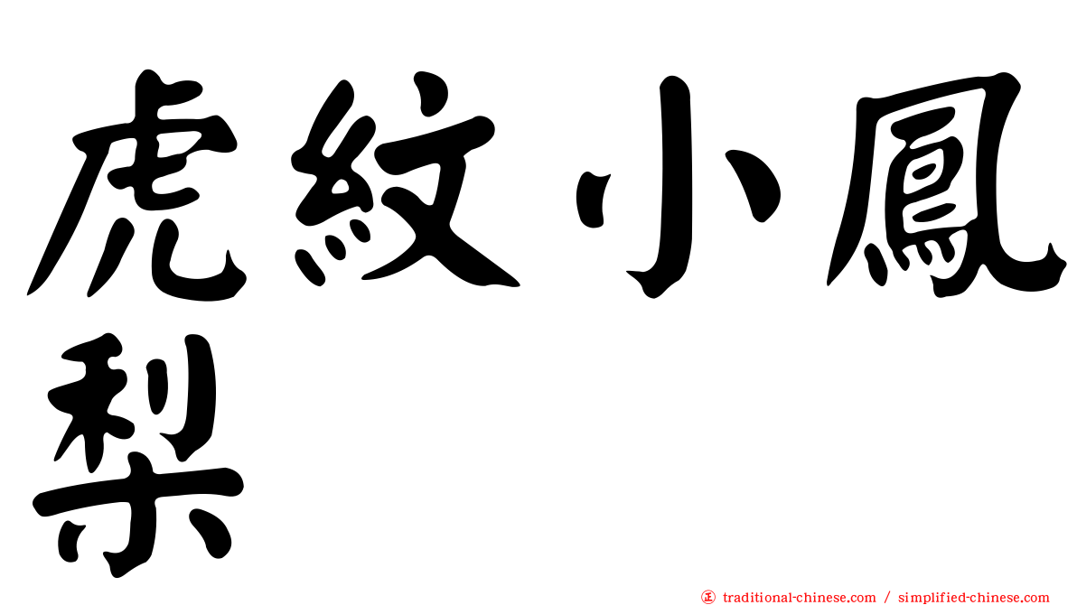 虎紋小鳳梨