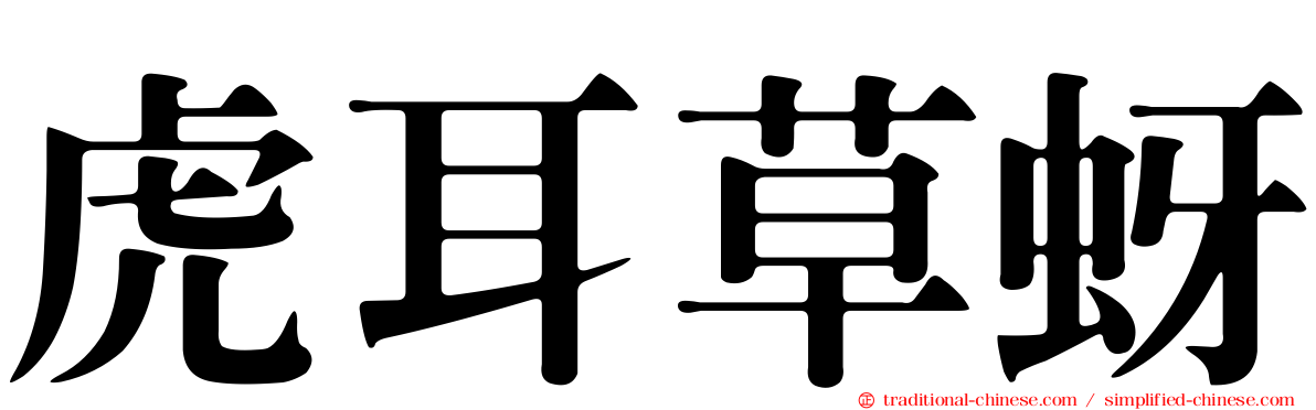 虎耳草蚜