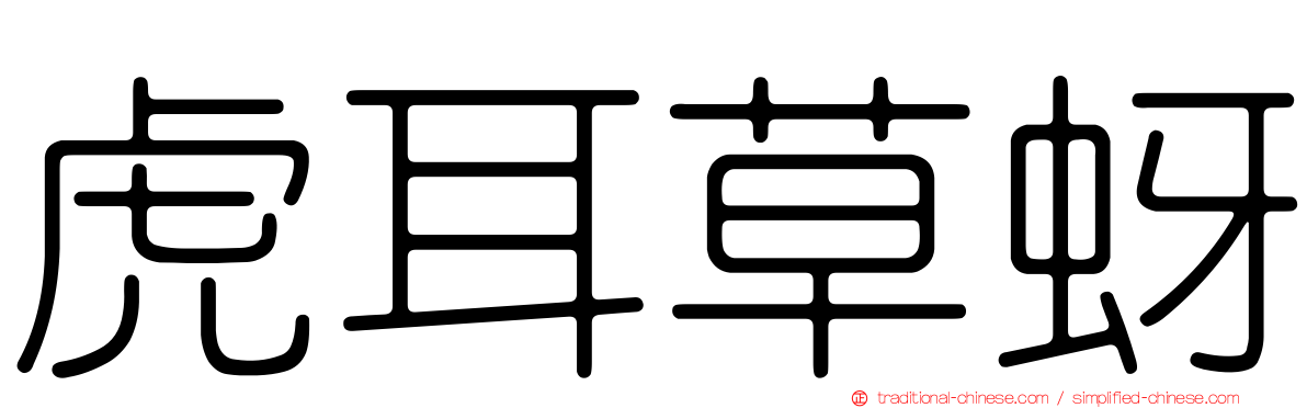 虎耳草蚜