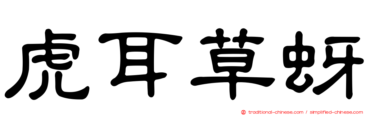 虎耳草蚜