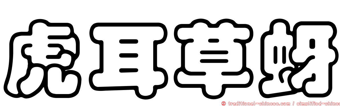 虎耳草蚜