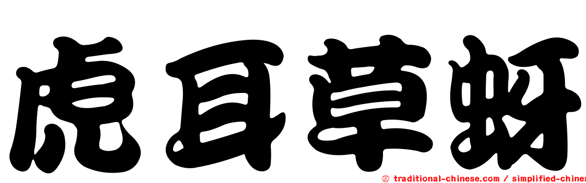 虎耳草蚜