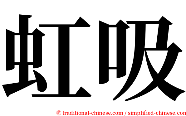 虹吸 serif font