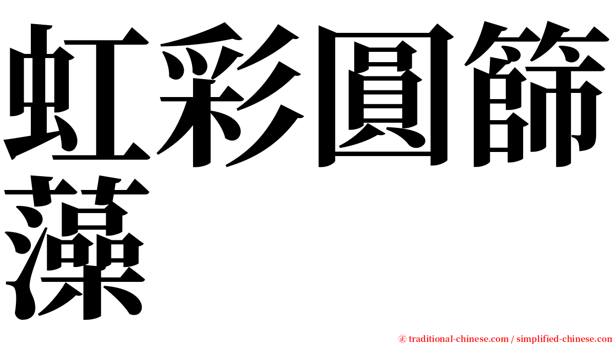 虹彩圓篩藻 serif font