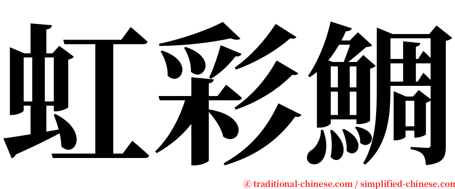 虹彩鯛 serif font