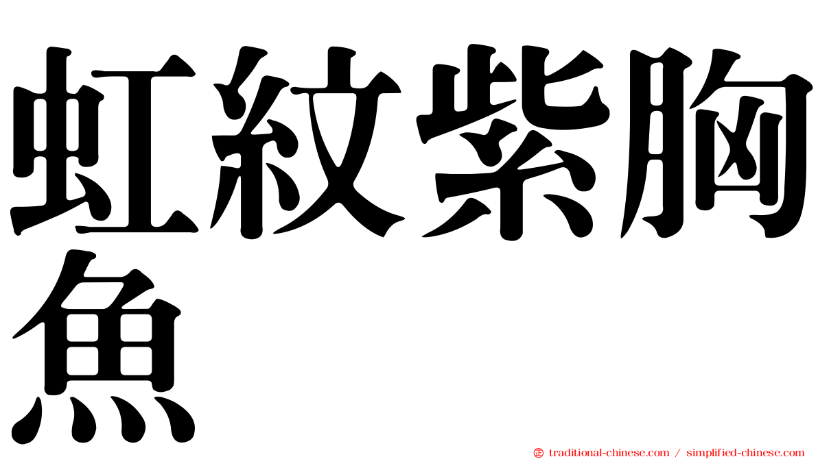 虹紋紫胸魚