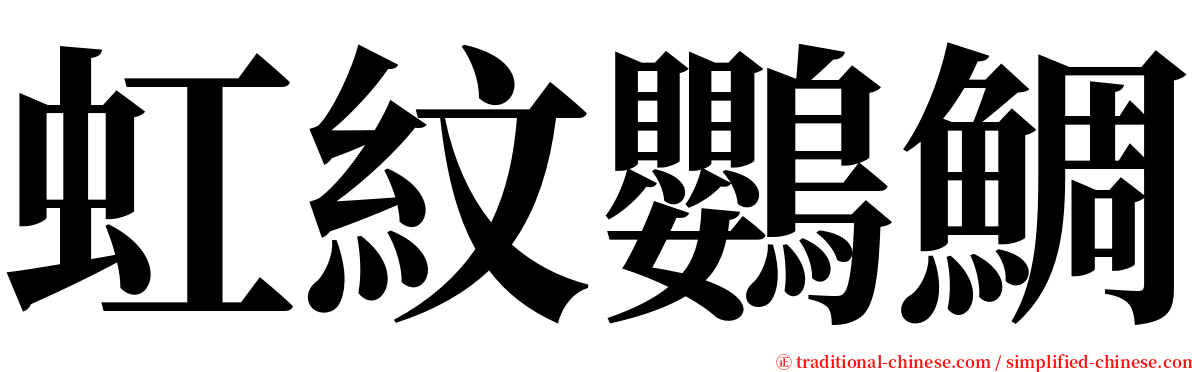 虹紋鸚鯛 serif font