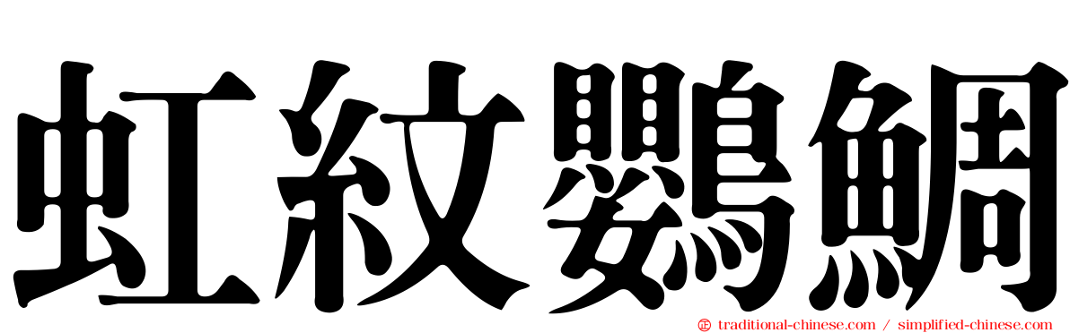 虹紋鸚鯛
