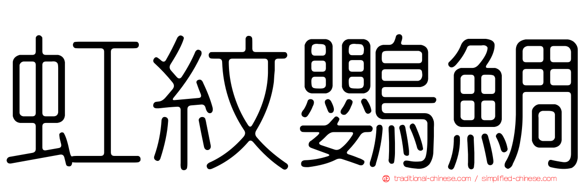 虹紋鸚鯛