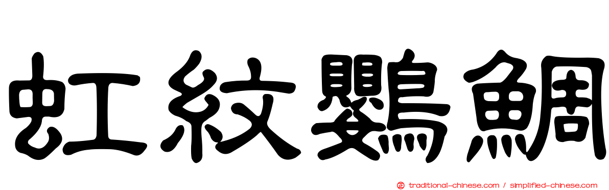 虹紋鸚鯛