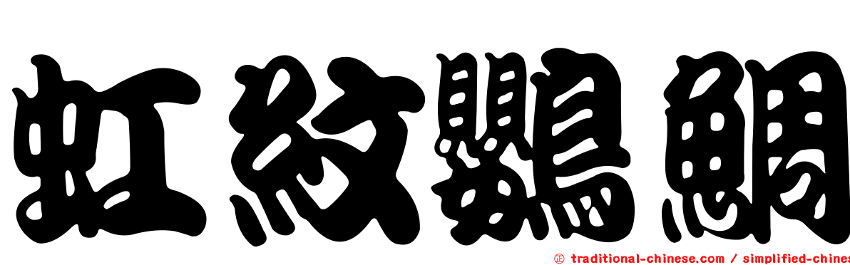 虹紋鸚鯛