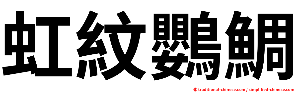 虹紋鸚鯛