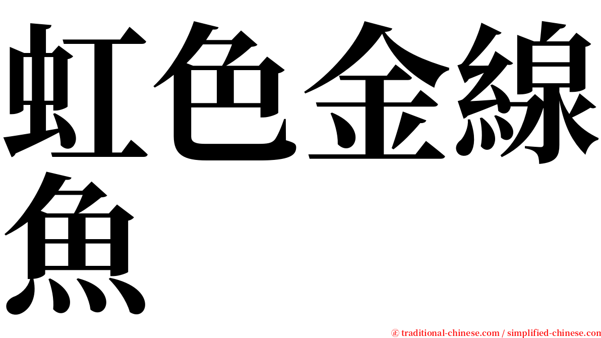 虹色金線魚 serif font