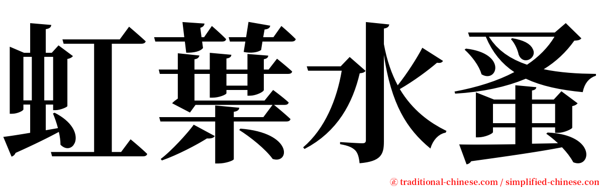 虹葉水蚤 serif font