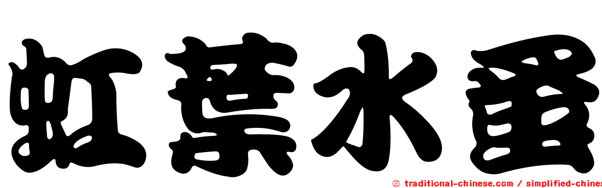 虹葉水蚤