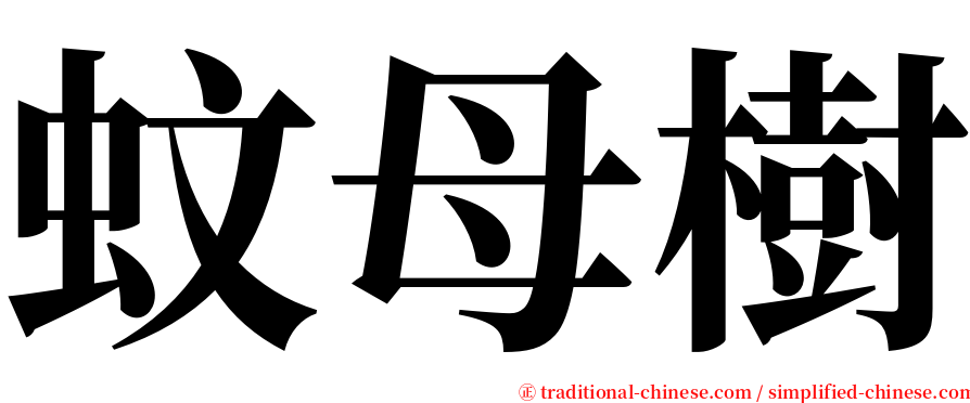 蚊母樹 serif font