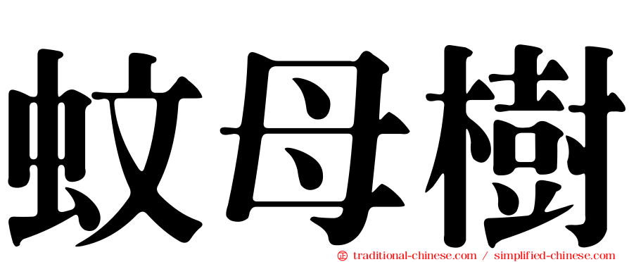 蚊母樹