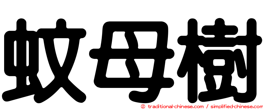 蚊母樹