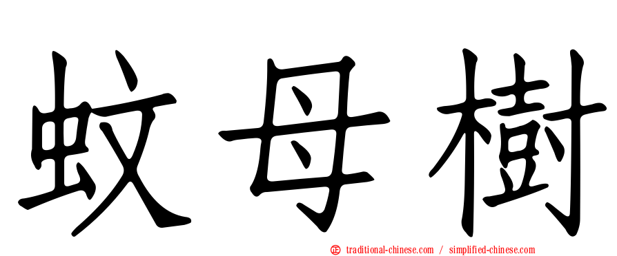蚊母樹