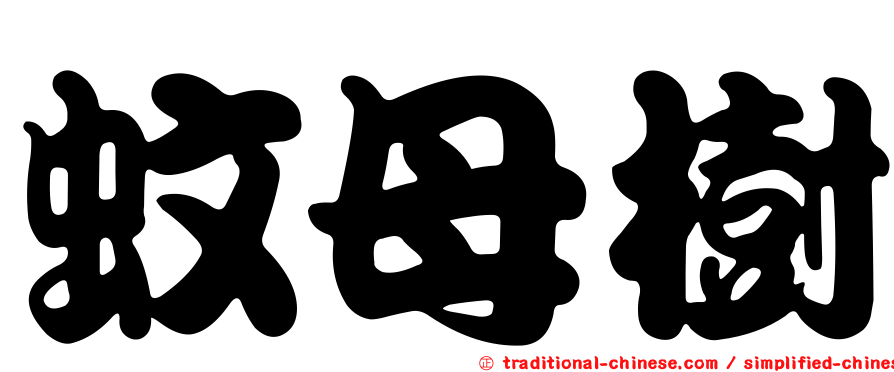 蚊母樹