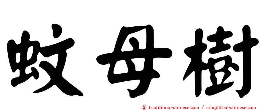 蚊母樹