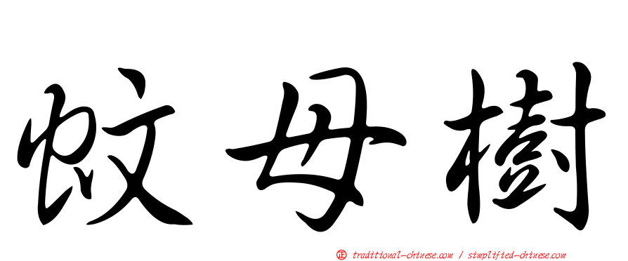蚊母樹