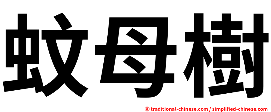 蚊母樹