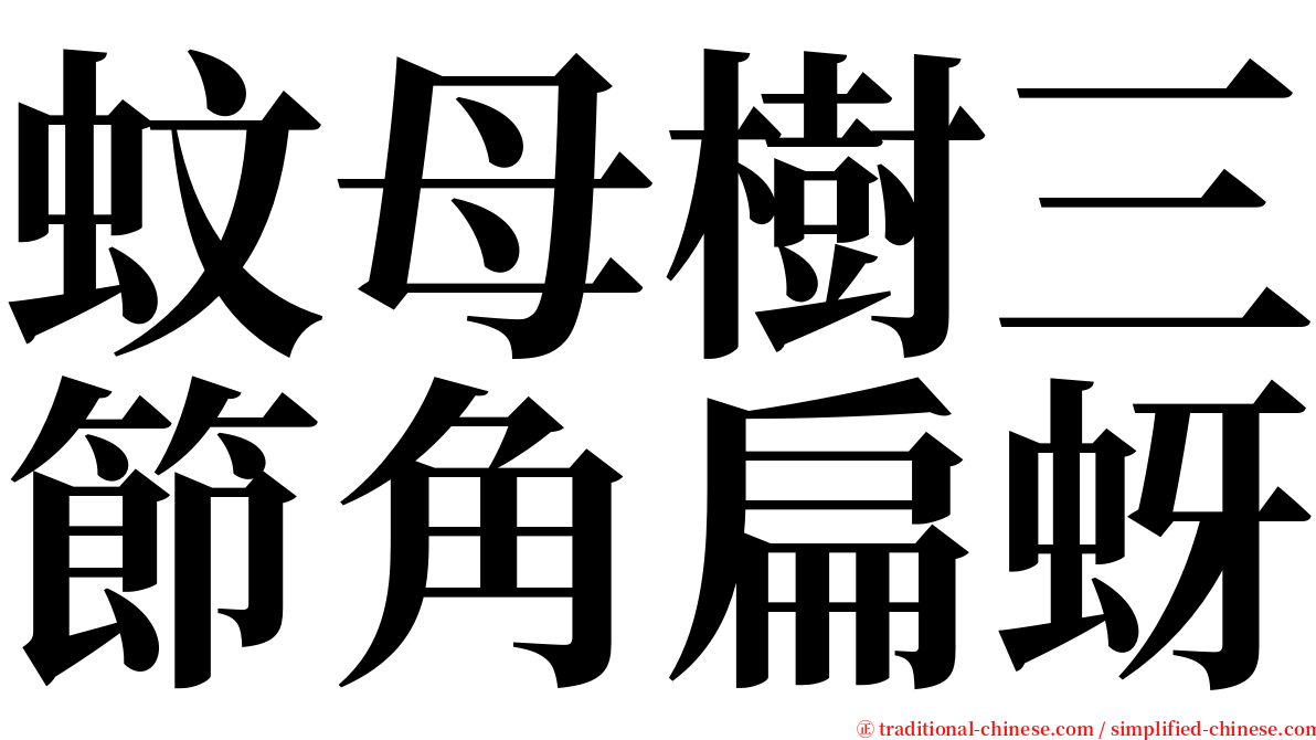 蚊母樹三節角扁蚜 serif font