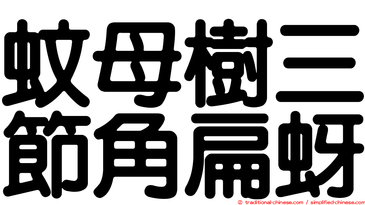 蚊母樹三節角扁蚜