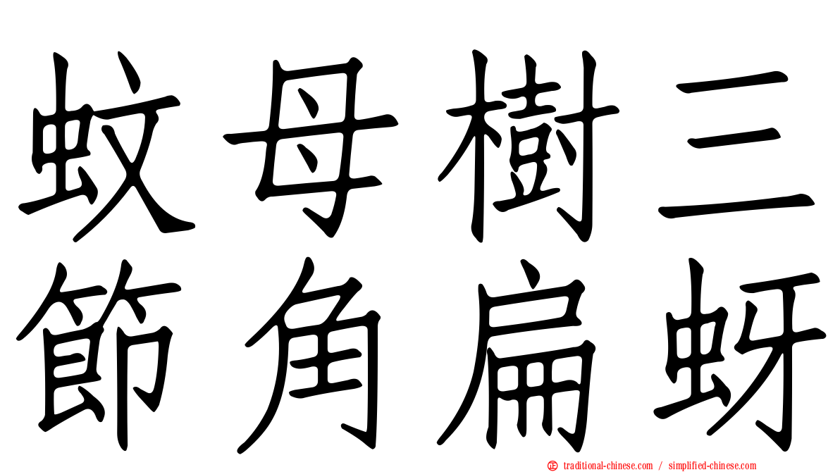 蚊母樹三節角扁蚜