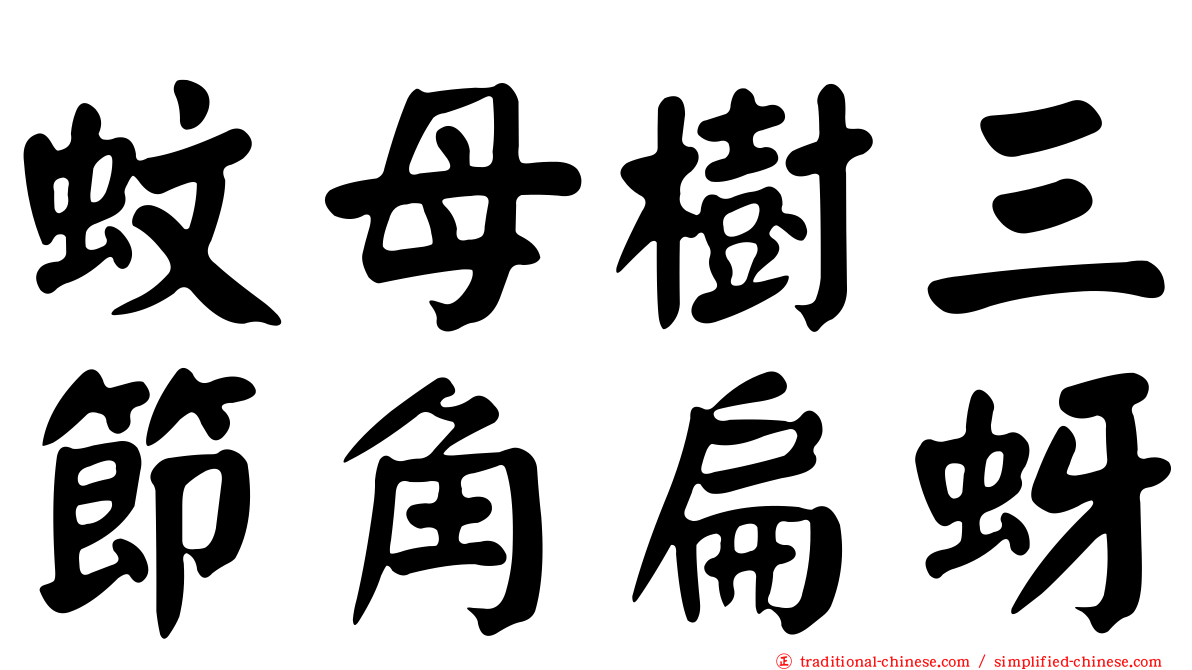 蚊母樹三節角扁蚜