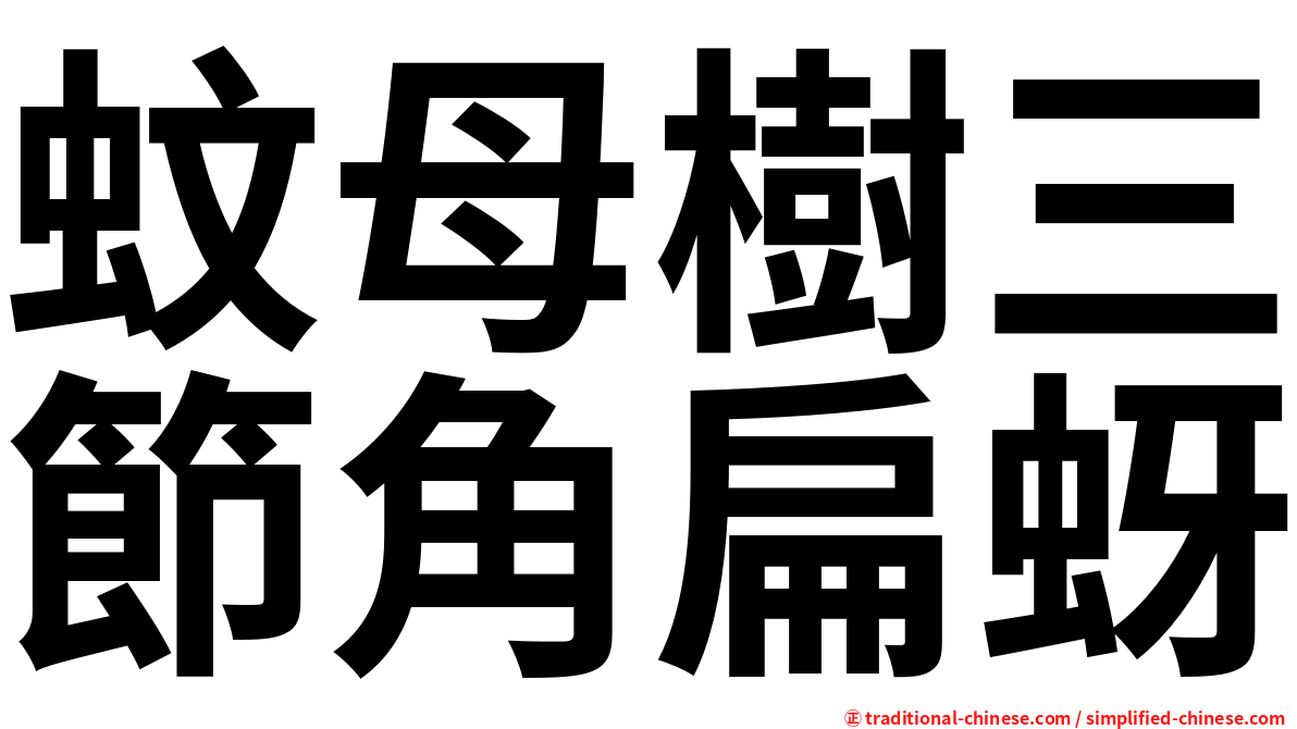 蚊母樹三節角扁蚜