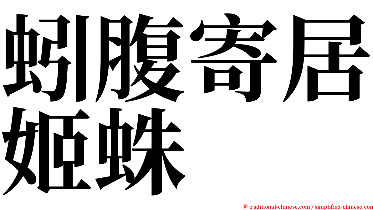 蚓腹寄居姬蛛 serif font