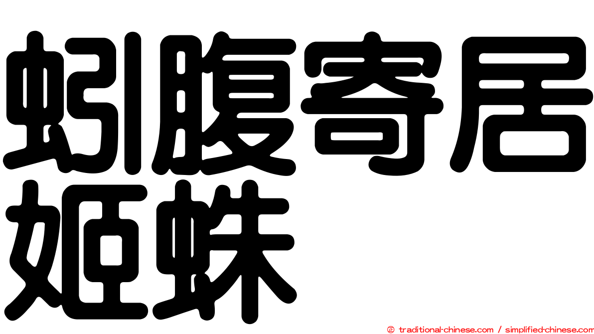 蚓腹寄居姬蛛