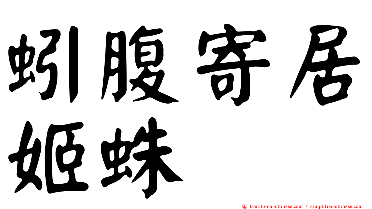 蚓腹寄居姬蛛