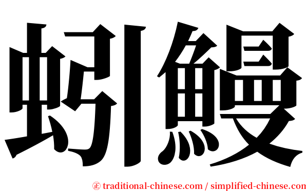 蚓鰻 serif font