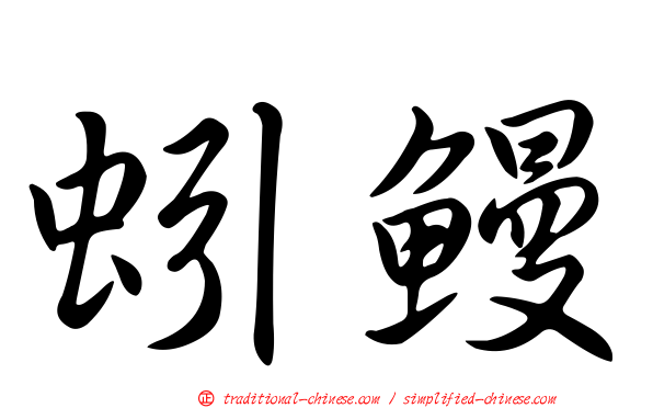 蚓鰻